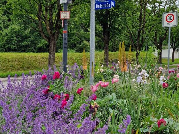 Wohnung zum Kauf 298.000 € 3 Zimmer 90 m² 2. Geschoss Bad Waldsee 88339