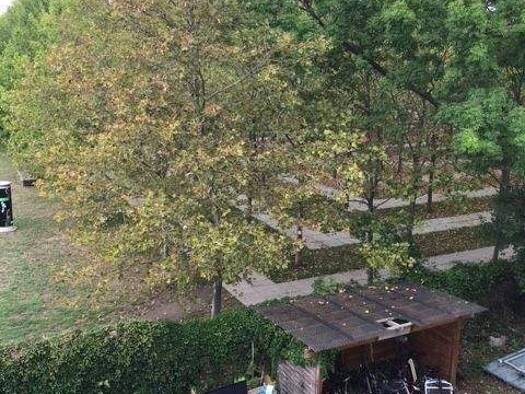 Wohnung zur Miete 465 € 2 Zimmer 62 m² 2. Geschoss frei ab sofort Buckau Magdeburg 39104