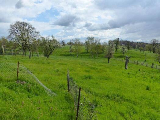 Bauernhaus zum Kauf 183.000 € 4 Zimmer 127 m² 4.464 m² Grundstück Leisenau Grimma 04680