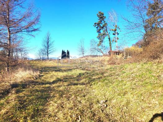 Grundstück zum Kauf 600.000 € 5.954 m² Grundstück Mellach 8072