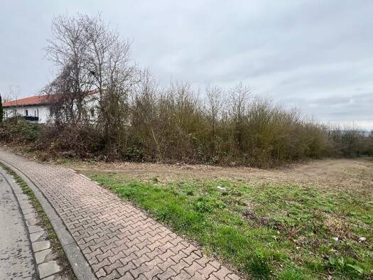 Gewerbegrundstück zum Kauf 380.000 € 2.602 m² Grundstück Hinter dem Turm 19 Wörrstadt Wörrstadt 55286