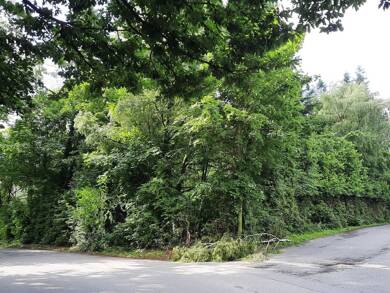 Freizeitgrundstück zum Kauf 30.000 € 3.123 m² Grundstück Hattingen 45527