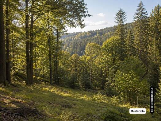 Gewerbegrundstück zum Kauf provisionsfrei 345.958 € Letmathe Iserlohn 58642