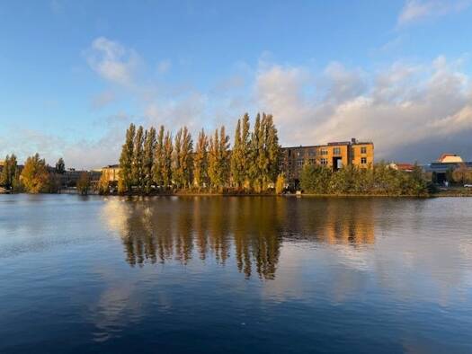 Wohnung zur Miete 1.325 € 2 Zimmer 65 m² 6 Geschosse frei ab sofort Niederschöneweide Berlin 12439