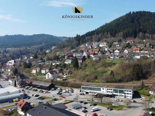 Grundstück zum Kauf 100.000 € 798 m² Grundstück Alpirsbach 72275