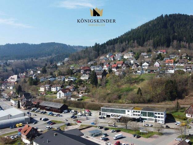 Grundstück zum Kauf 100.000 € 798 m² Grundstück Alpirsbach 72275