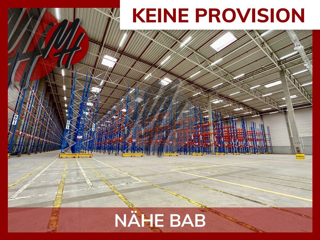 Lagerhalle zur Miete provisionsfrei 4.000 m²<br/>Lagerfläche Groß-Gerau Groß-Gerau 64521