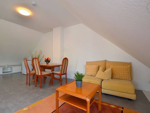 Studio zur Miete auf Zeit 930 € 1 Zimmer 45 m² frei ab 01.08.2026 Frauenland Würzburg 97074