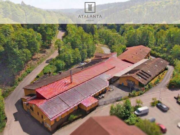 Lagerhalle zur Miete 3.384 € 720 m² Lagerfläche Straßburg 18 Wald-Michelbach Wald-Michelbach 69483