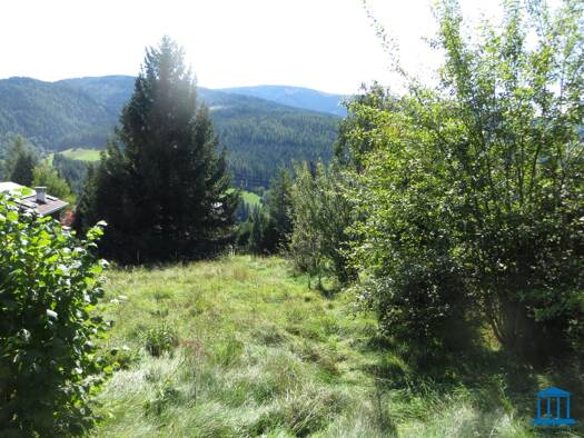 Grundstück zum Kauf 120.000 € 772 m² Grundstück Steinhaus am Semmering 8685