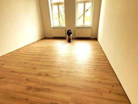 Wohnung zur Miete 385 € 2 Zimmer 70 m² 3. Geschoss Ludwigstraße 45 Schloßchemnitz Chemnitz 09113