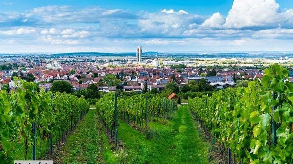 Produktionshalle zum Kauf als Kapitalanlage geeignet 5.240.000 € 5.819 m² Grundstück Obere Hauptstraße Gols 7122