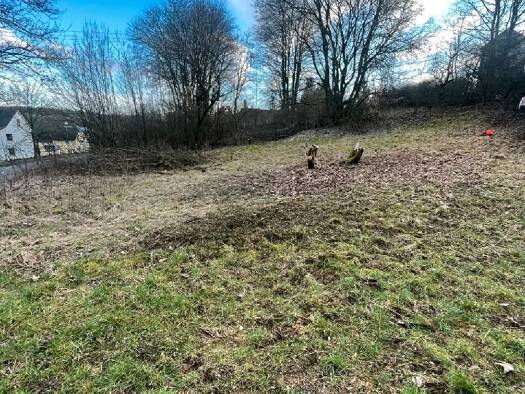 Grundstück zum Kauf 120.000 € 4.715 m² Grundstück Rennerod 56479