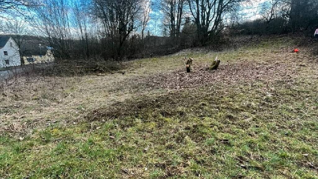 Grundstück zum Kauf 120.000 € 4.715 m² Grundstück Rennerod 56479