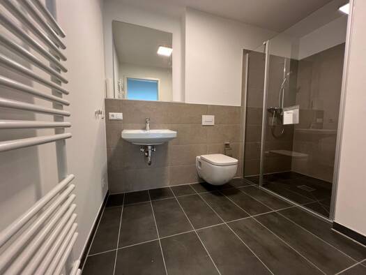 Wohnung zur Miete 530 € 1 Zimmer 29 m² Geschoss EG/4 frei ab sofort Glockenhof Nürnberg 90478