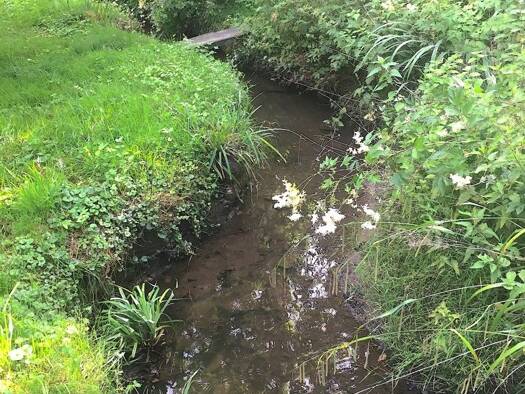 Haus zum Kauf 120.000 € 7 Zimmer 124 m² 1.057 m² Grundstück Wehrendorf Bad Essen / Wehrendorf 49152