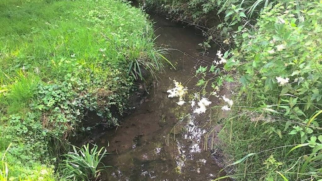 Haus zum Kauf 120.000 € 7 Zimmer 124 m² 1.057 m² Grundstück Wehrendorf Bad Essen / Wehrendorf 49152