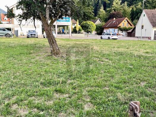 Grundstück zum Kauf 890.000 € 1.976 m² Grundstück Untermünstertal Münstertal 79244