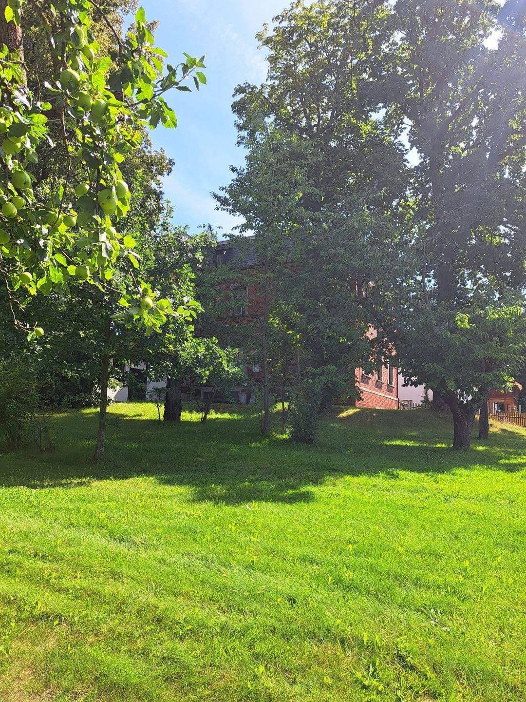 Wohnglück zum Vorteilspreis - Viel Freiraum-Viel Platz