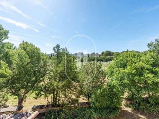 Haus zum Kauf 1.330.000 € 290 m² 2.000 m² Grundstück Centre Ville Saint-Rémy-de-Provence 13210