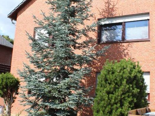Wohnung zur Miete 790 € 3 Zimmer 86,5 m² 1. Geschoss frei ab 01.11.2026 Pesch Korschenbroich 41352
