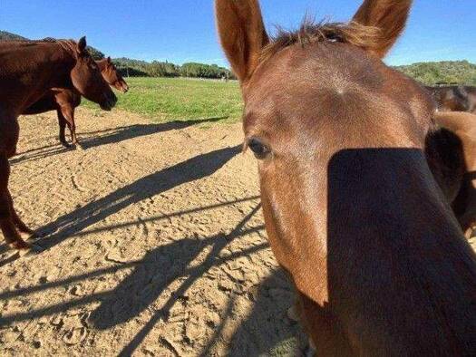 Einfamilienhaus zum Kauf 2.000.000 € 5 Zimmer 1 m² 30.000 m² Grundstück Pitigliano 58017