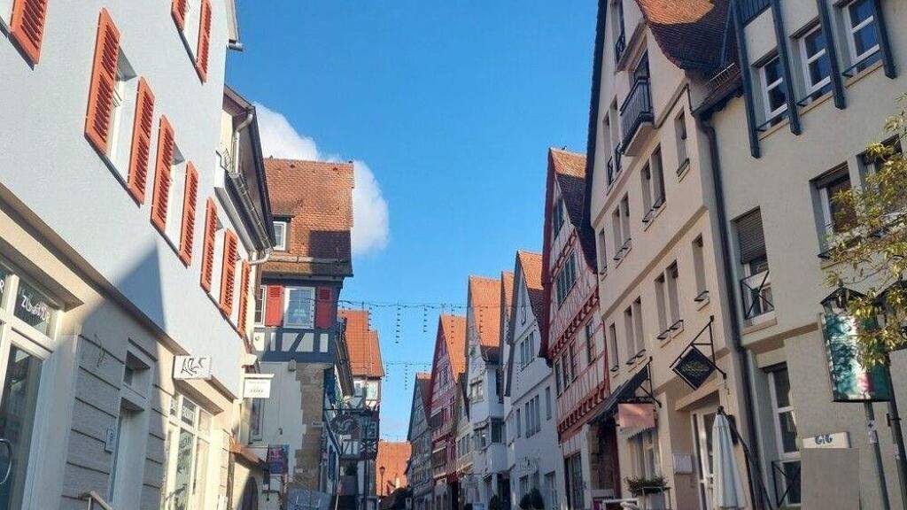 Studio zum Kauf 145.000 € 1 Zimmer 40 m² EG Bietigheim Bietigheim-Bissingen 74321