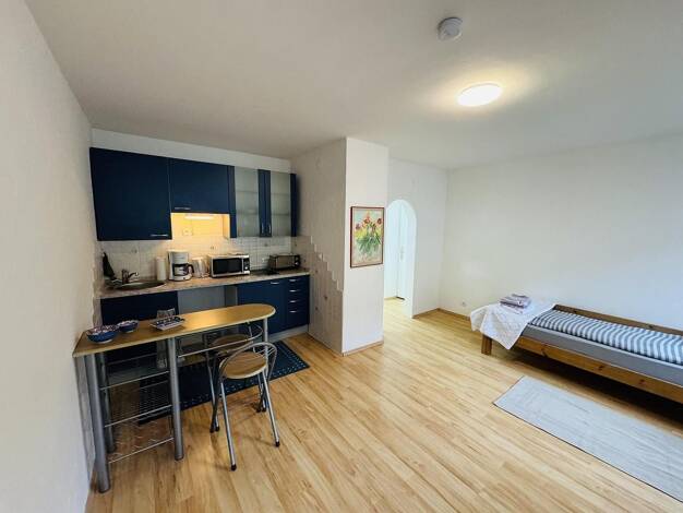 Studio zur Miete 450 € 1 Zimmer 29 m² EG frei ab 01.08.2026 Am Karlberg 3 Nordstadt Fürth 90765