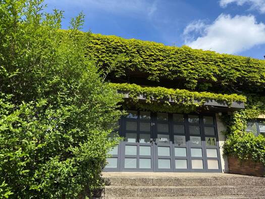 Haus zum Kauf 790.000 € 10 Zimmer 438 m² 1.980 m² Grundstück Eckhausen 41 Eckhausen Much 53804
