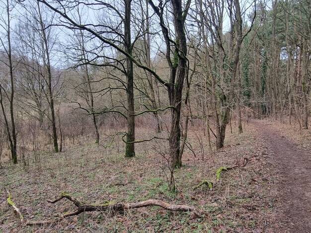 Grundstück zum Kauf provisionsfrei 3.000 € 1.460 m² Grundstück Alt Ruppin Neuruppin 16827