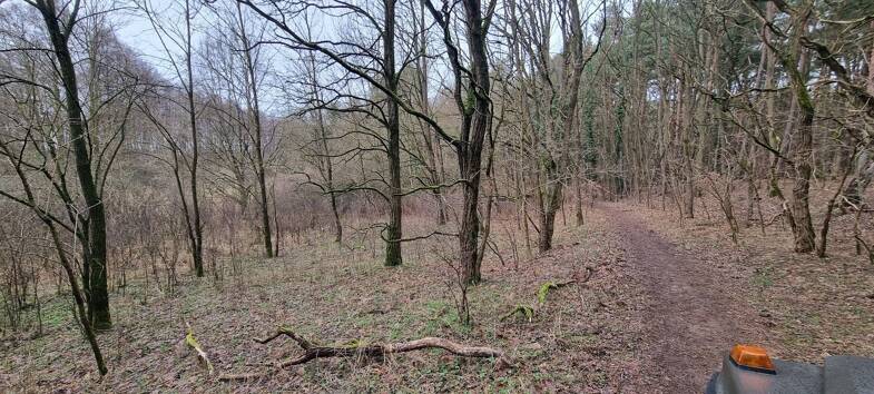 Grundstück zum Kauf provisionsfrei 3.000 € 1.460 m² Grundstück Alt Ruppin Neuruppin 16827