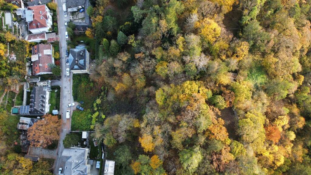 Grundstück zum Kauf 314.000 € 283 m² Grundstück Wien 1230