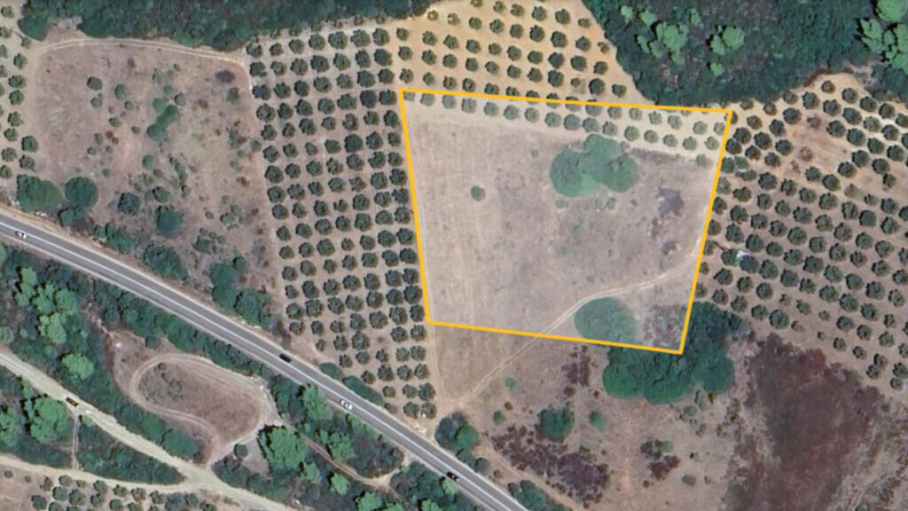 Land-/Forstwirtschaft zum Kauf 160.000 € 10.000 m² Grundstück Chalkidiki