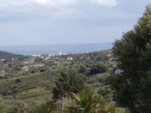 Acker-/Waldstück zum Kauf 215.000 € Diseminado Pedregales, 65 Estepona 29680