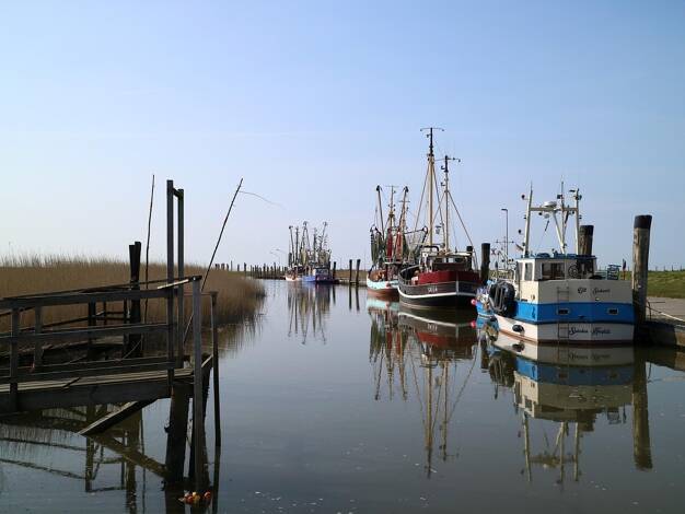 Einfamilienhaus zum Kauf 12 Zimmer 165,2 m² 3.285 m² Grundstück Wremen Wurster Nordseeküste 27638