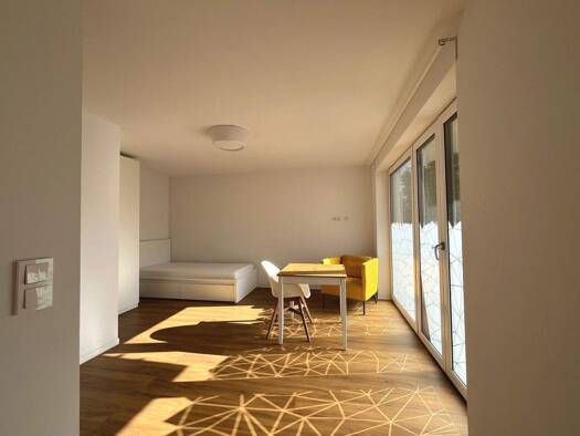 Wohnung zur Miete 600 € 26 m² frei ab sofort Offenbach am Main 63065