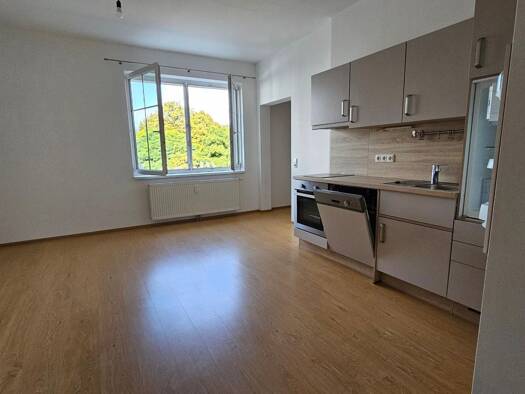 Wohnung zur Miete 320 € 2 Zimmer 48 m² EG Leopold Werndlstraße 25a Sarning Steyr 4400