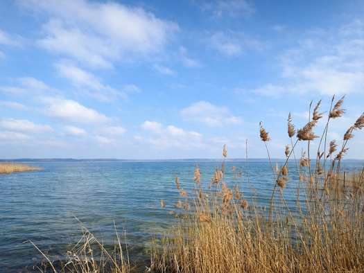 Bungalow zum Kauf 115.000 € 3 Zimmer 40 m² 150 m² Grundstück Joachimsthal 16247