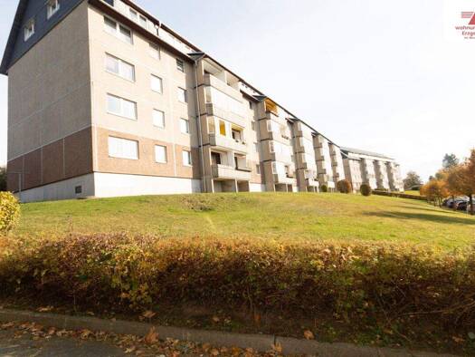 Wohnung zur Miete 270 € 3 Zimmer 52 m² 1. Geschoss Am Stadtpark 11 Geyer 09468