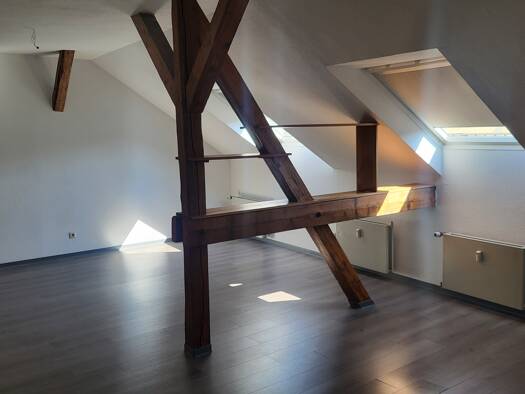 Wohnung zur Miete 350 € 2 Zimmer 39 m² 2. Geschoss frei ab sofort Schimmelstraße 18 Innenstadt Halle (Saale) 06108