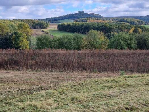Grundstück zum Kauf provisionsfrei 900 m² Grundstück Kutzenberger Str. 134 Ebensfeld 96250