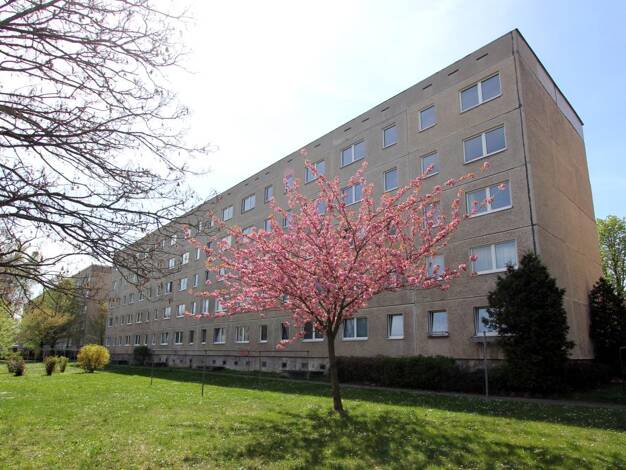 Mehrfamilienhaus zum Kauf als Kapitalanlage geeignet 1.750.000 € 267 Zimmer 5.059,3 m² 5.967 m² Grundstück Innenstadt Dessau-Roßlau 06842