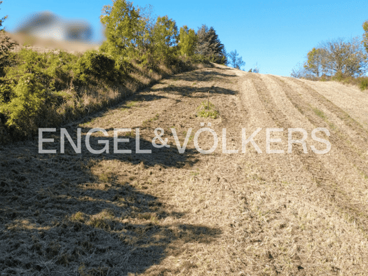 Grundstück zum Kauf 749.000 € 1.188 m² Grundstück Klosterneuburg 3400