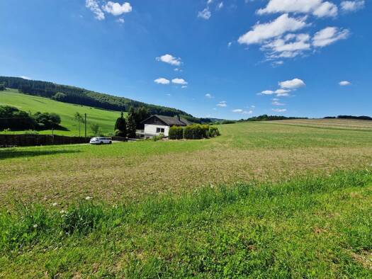 Haus zum Kauf 220.000 € 6 Zimmer 157 m² 1.700 m² Grundstück Eslohe 59889