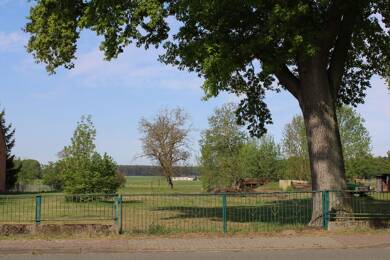 Grundstück zum Kauf 65.000 € 5.376 m² Grundstück Neese Prislich 19300