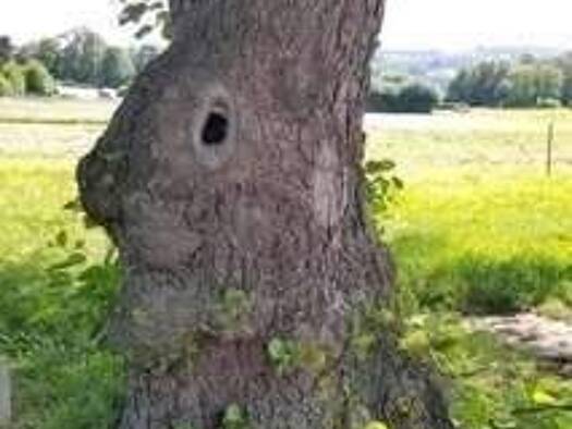 Studio zur Miete 580 € 1 Zimmer 53 m² 3. Geschoss frei ab sofort Hilden 40721