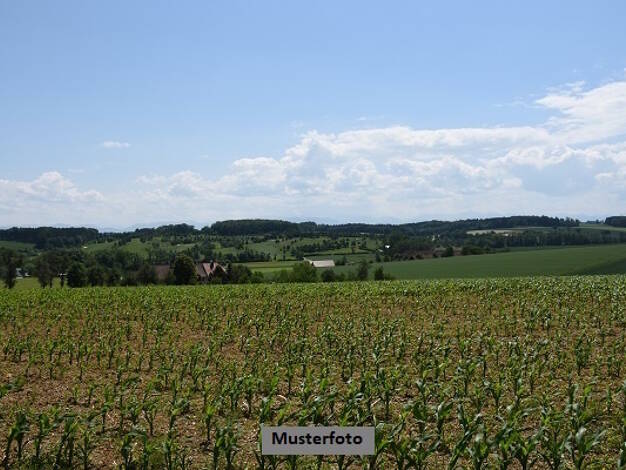 Land-/Forstwirtschaft zum Kauf 21.000 € 12.808 m² Grundstück Meerane Meerane 08393