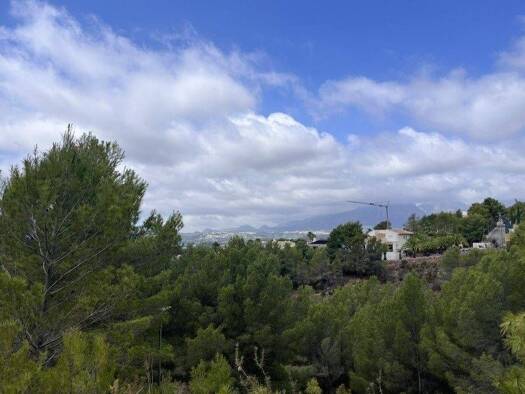 Acker-/Waldstück zum Kauf 149.000 € Callosa d'en Sarrià 03599