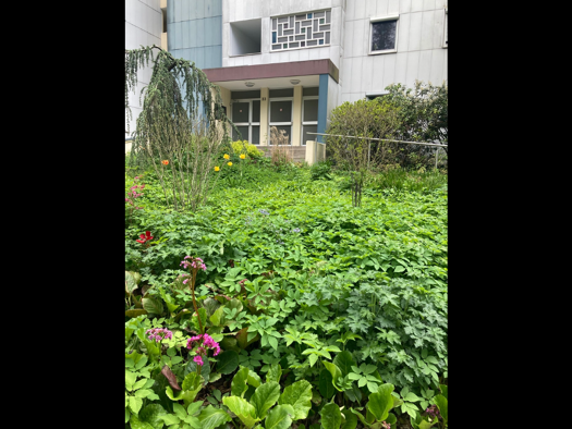 Wohnung zur Miete 340 € 1 Zimmer 24 m² 9. Geschoss frei ab 01.05.2026 Büchenbach Erlangen 91056