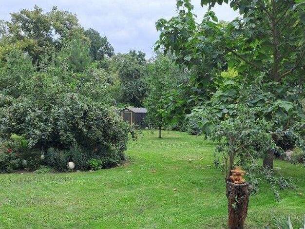 Einfamilienhaus zum Kauf - Erstbezug 106.000 € 3 Zimmer 80 m² 2.500 m² Grundstück Zellewitz Könnern 06420